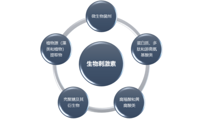 生物刺激素行業(yè)全景洞察 市場規(guī)模、發(fā)展前景與投資機(jī)遇分析
